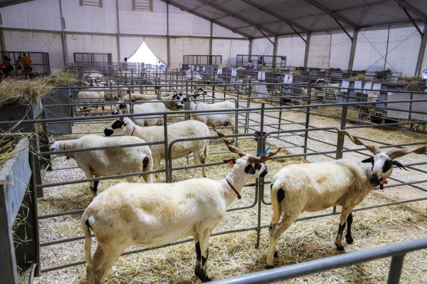 XXV FEIRA DE CAÇA, PESCA, TURISMO E NATUREZA